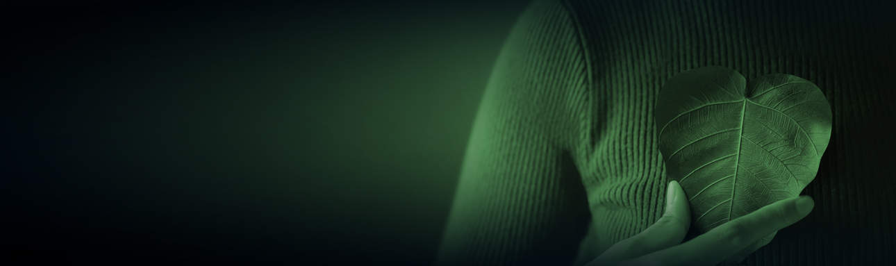 header circle nachhaltigkeit