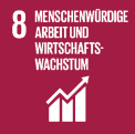 sdg icon de 08