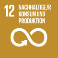 sdg icon de 12